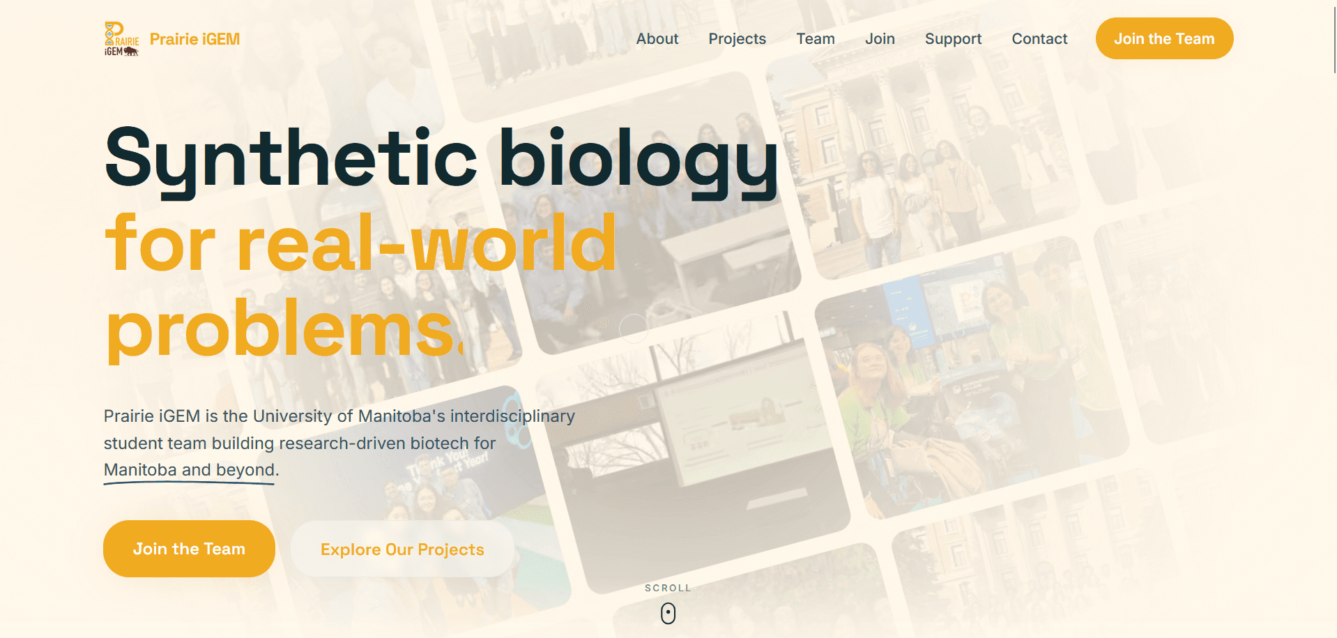 Website mockup for Prairie iGEM student research project